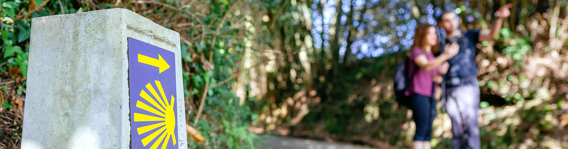 camino-de-santiago